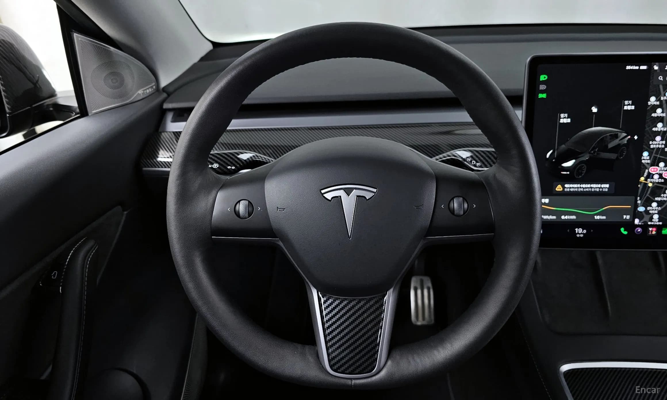 Model Y