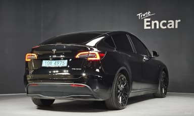 Model Y