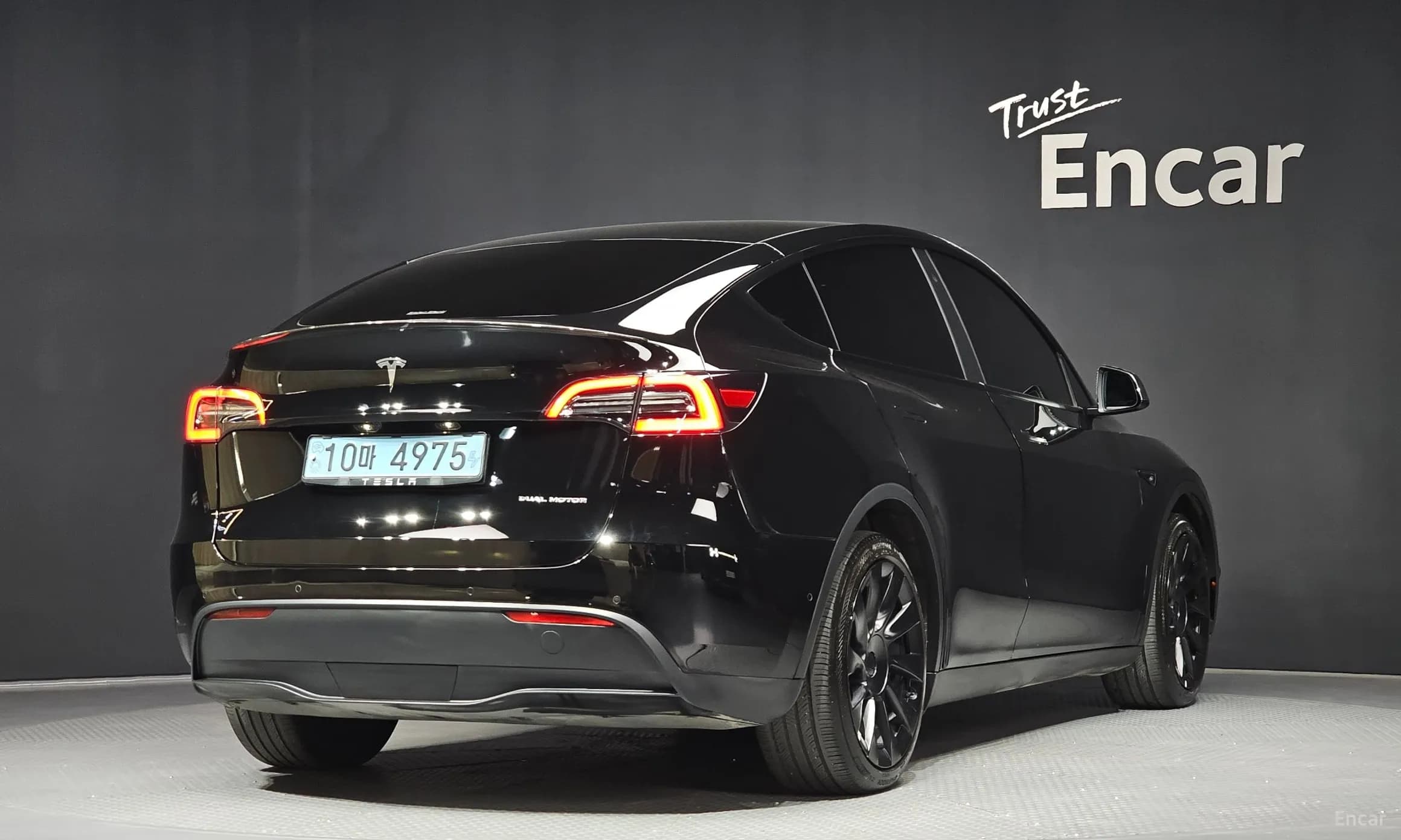 Model Y