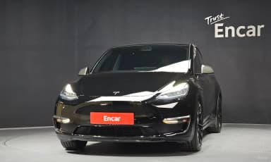 Model Y