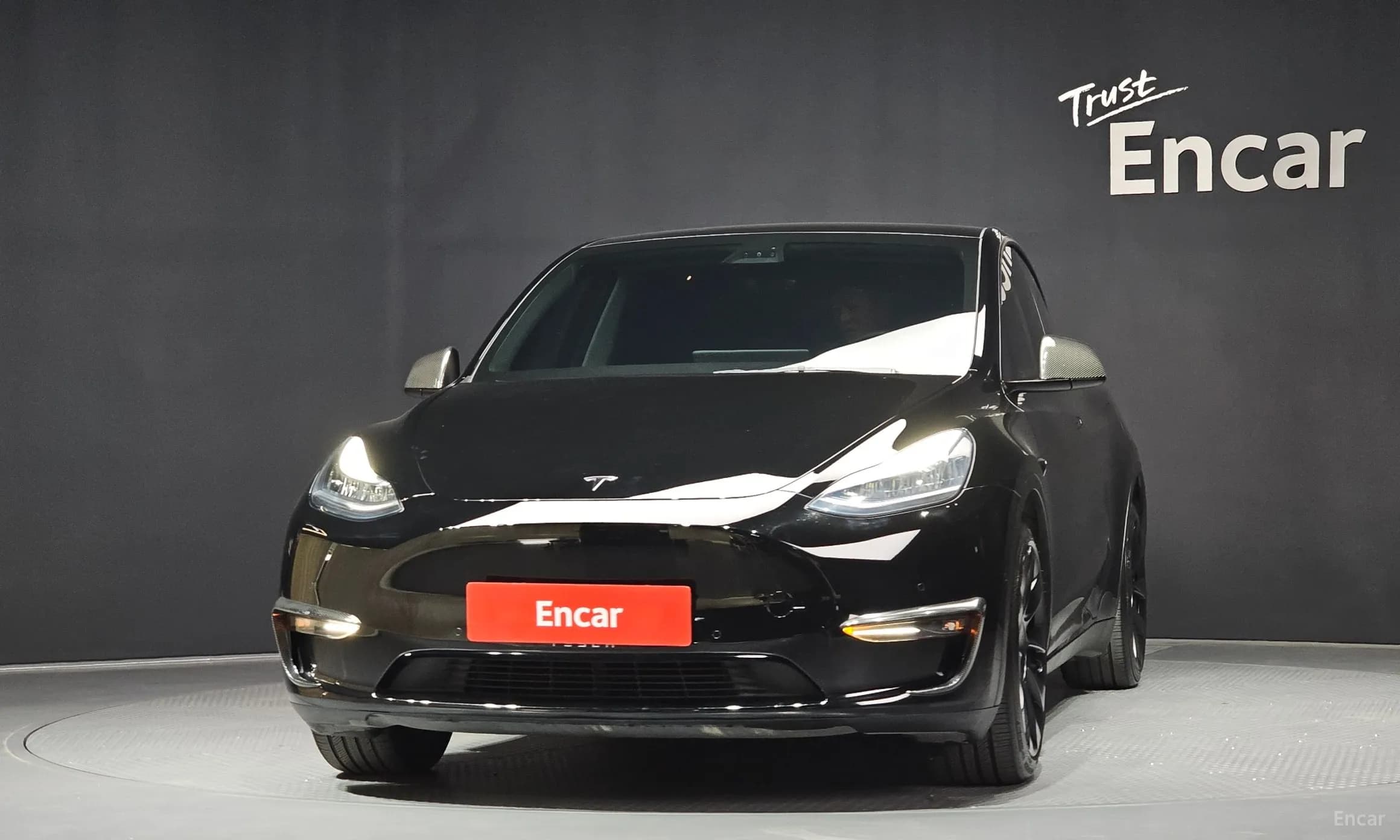 Model Y