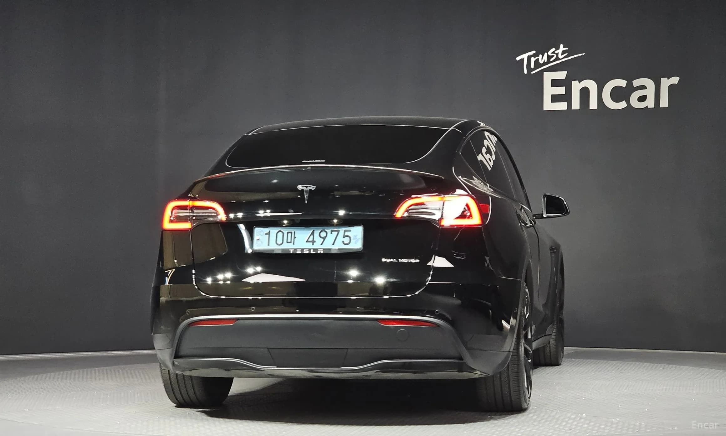 Model Y