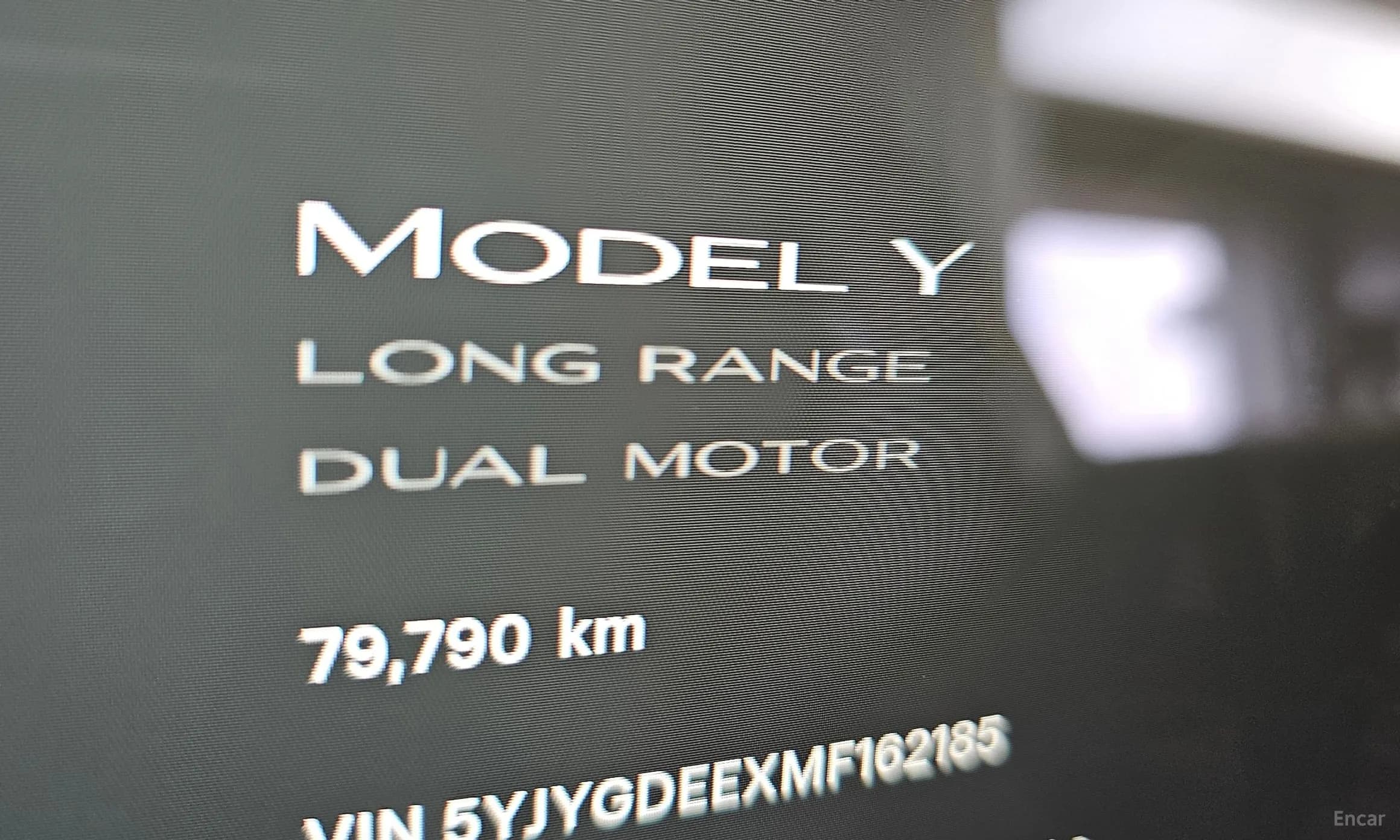 Model Y