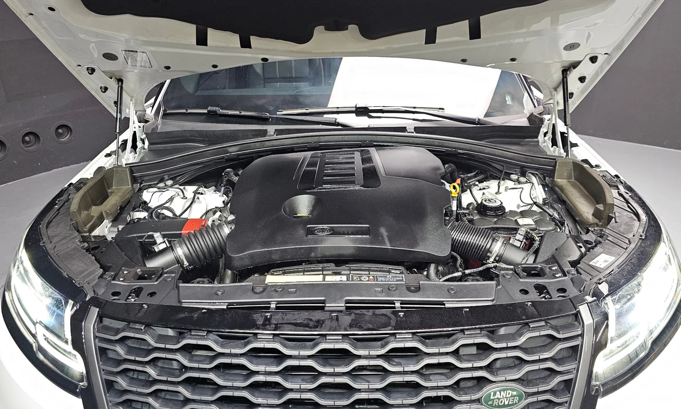 Range Rover Bella