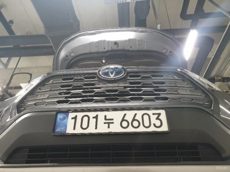RAV4 5th Generation