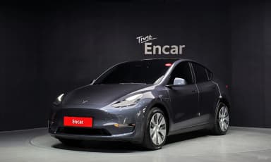 Model Y