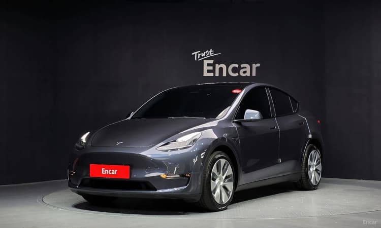Model Y