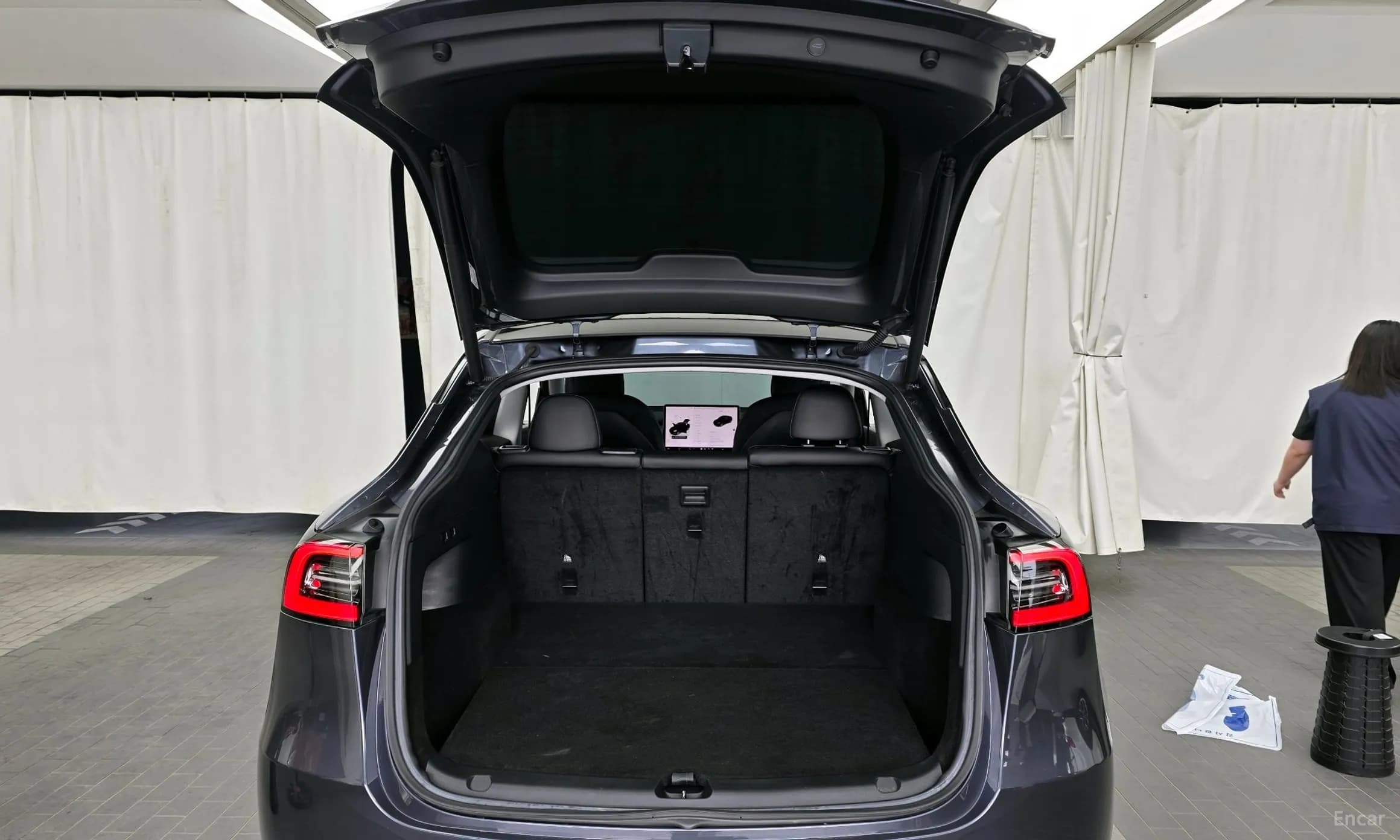 Model Y