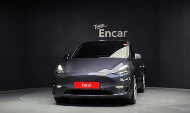 Model Y