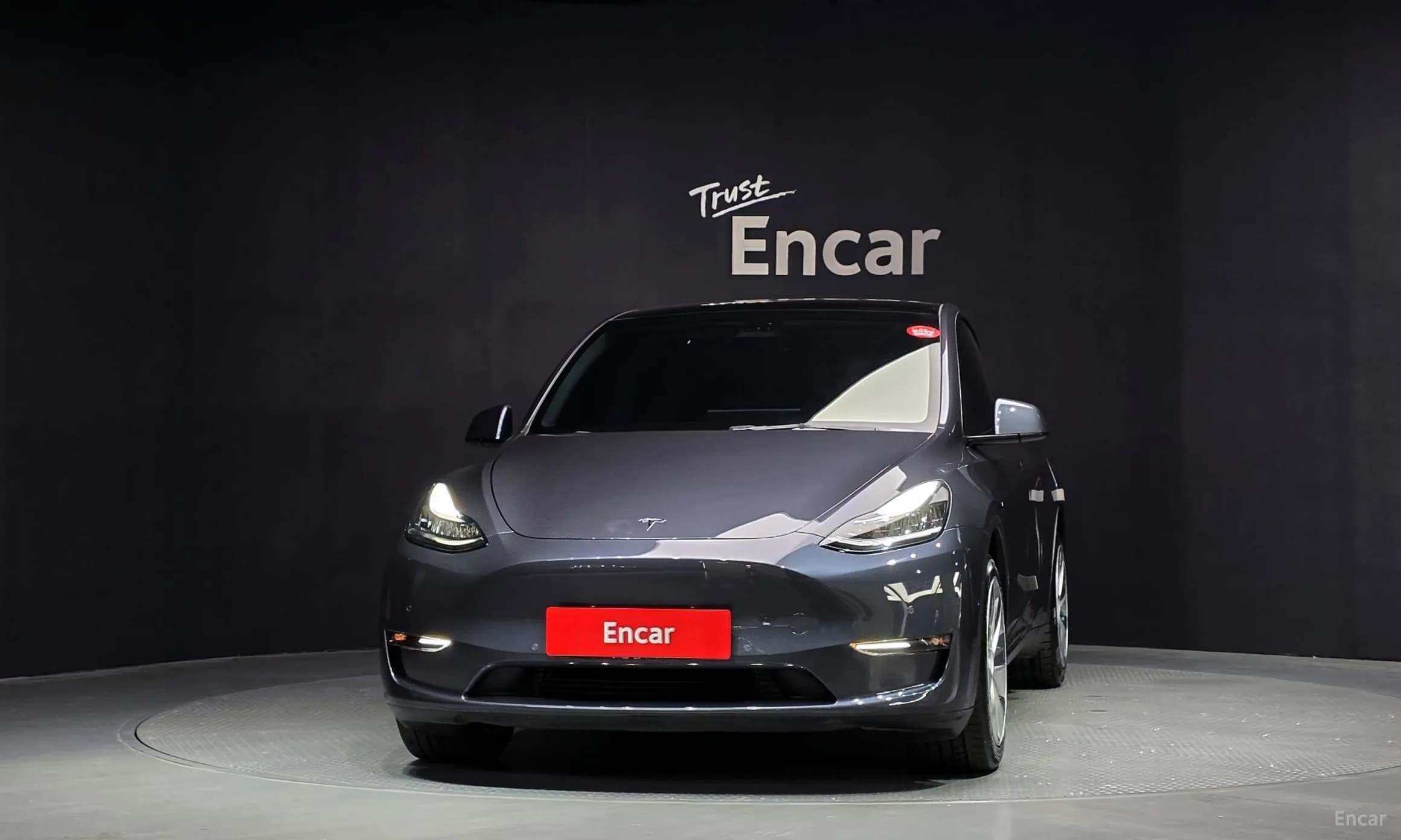 Model Y