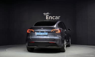 Model Y