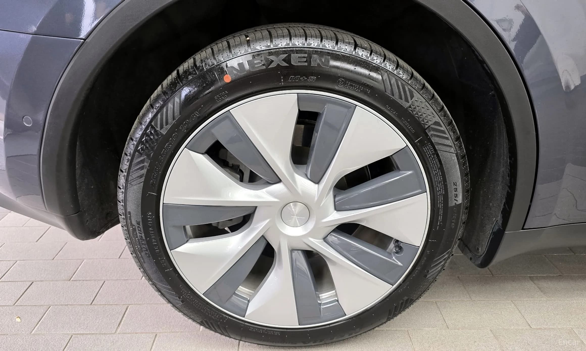 Model Y