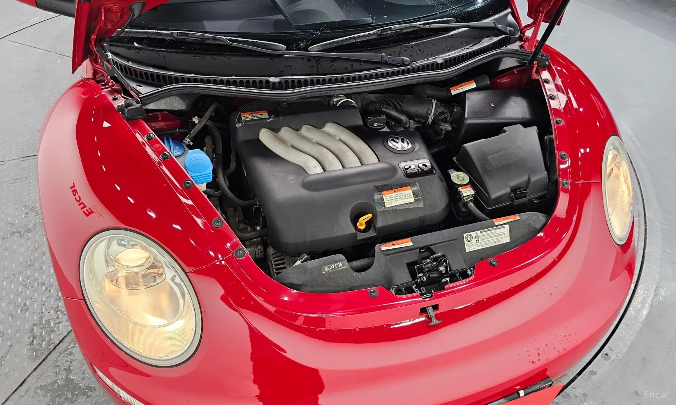 New Beetle
