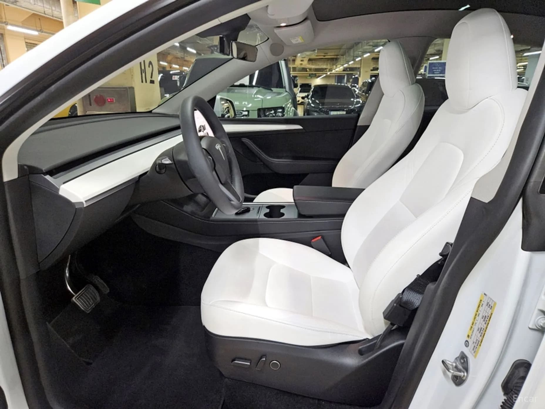 Model Y