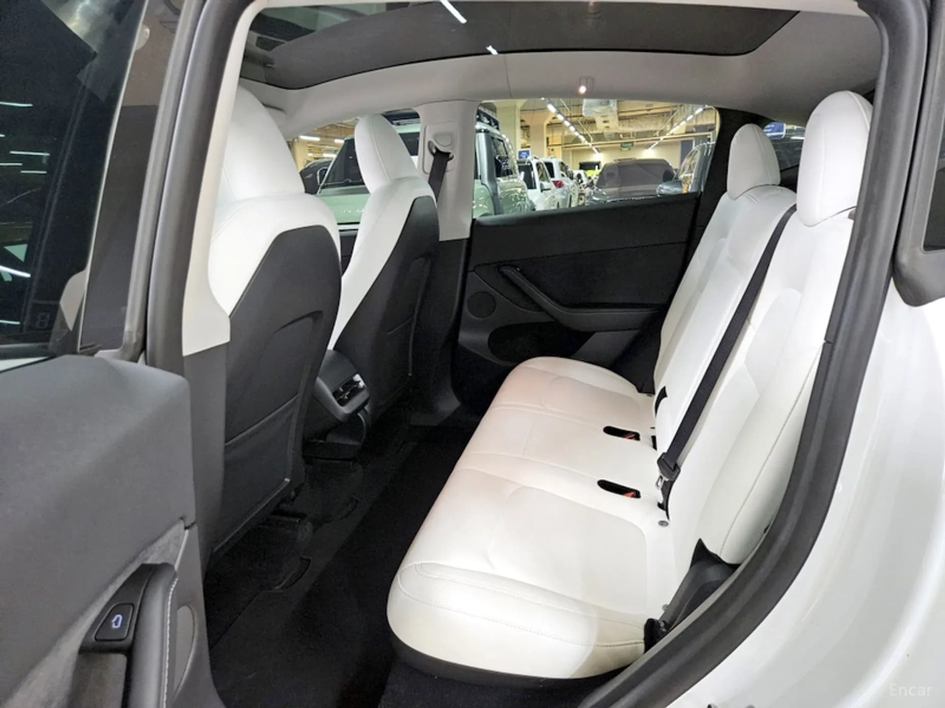 Model Y