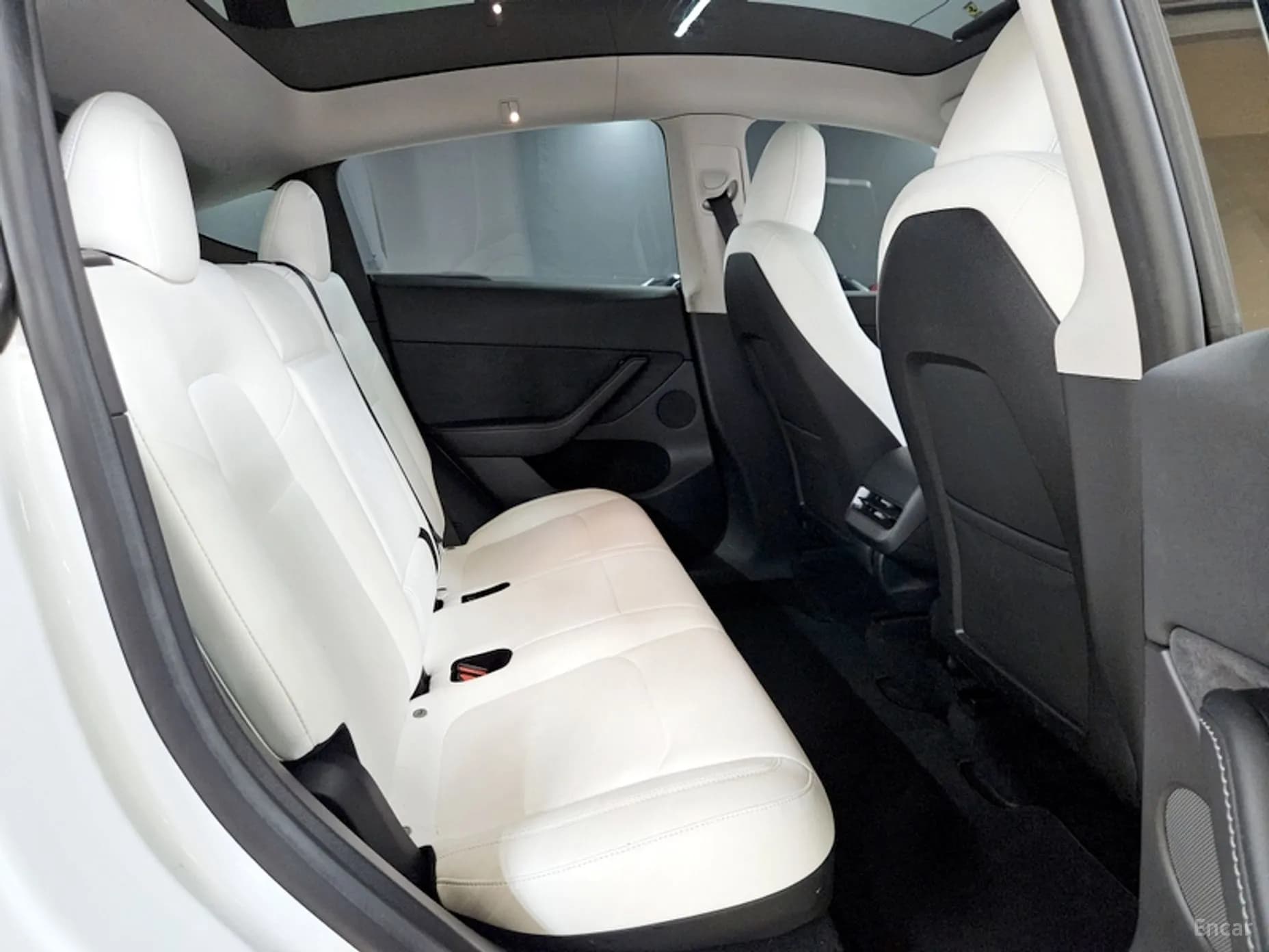 Model Y