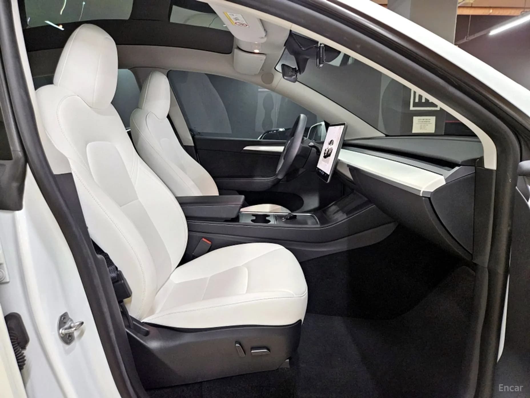 Model Y