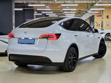 Model Y