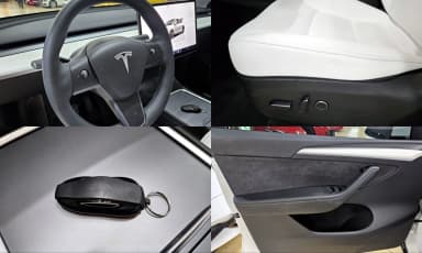 Model Y