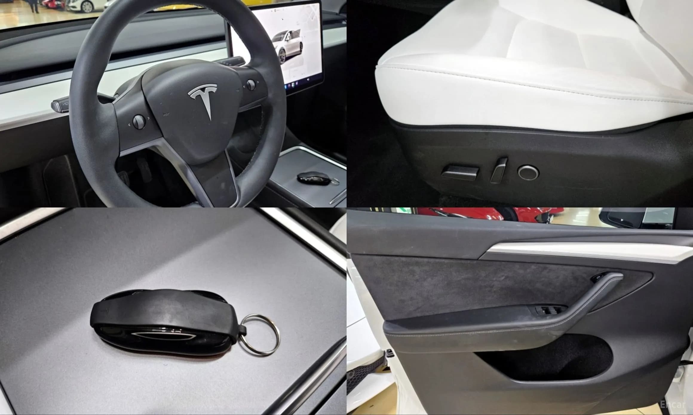 Model Y