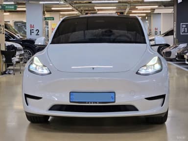 Model Y