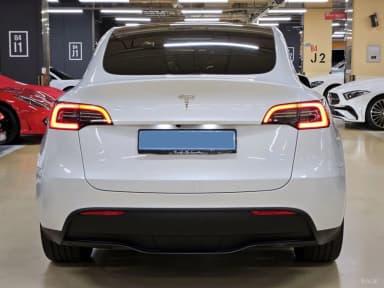 Model Y