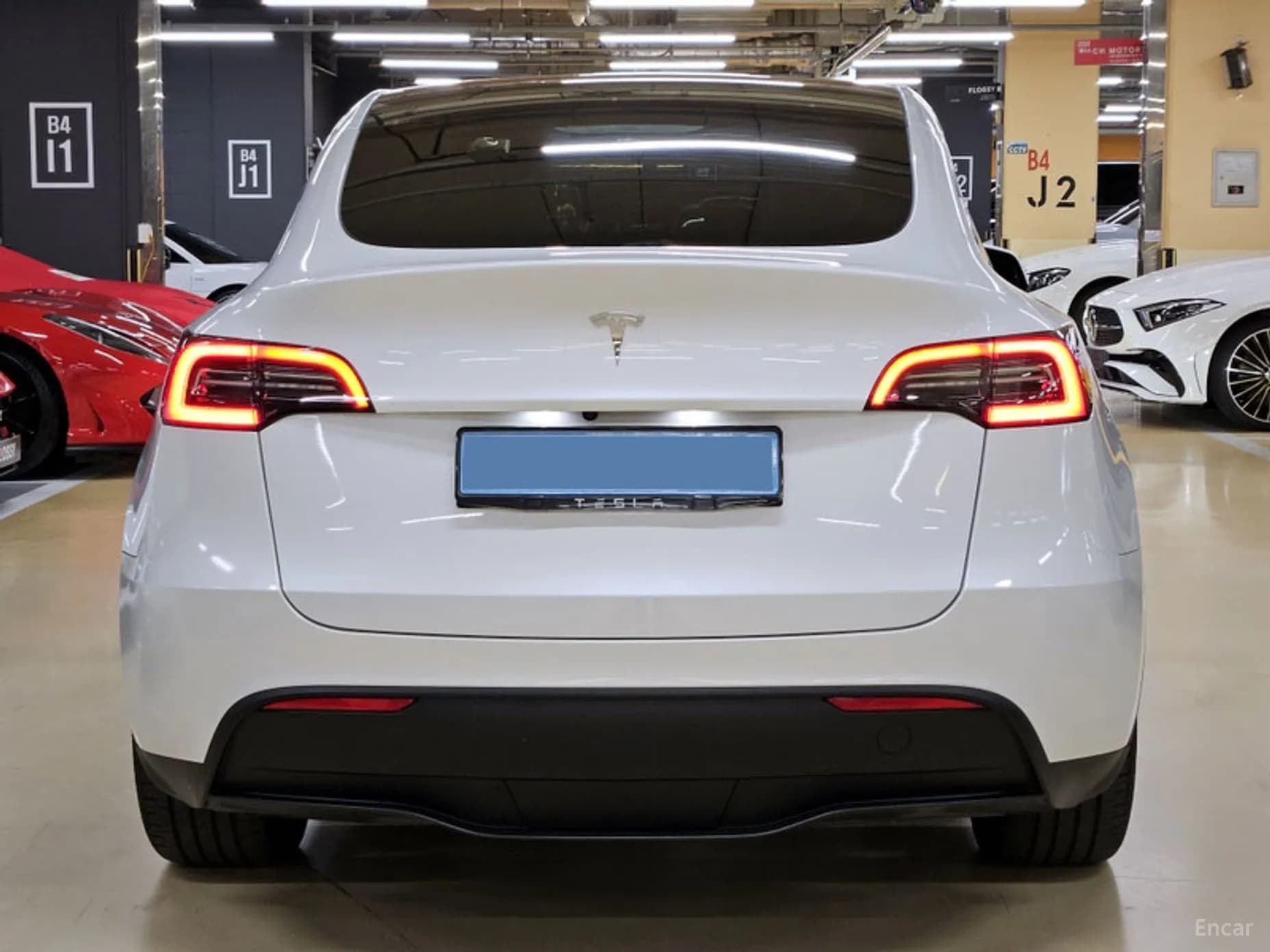 Model Y
