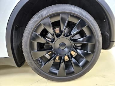 Model Y