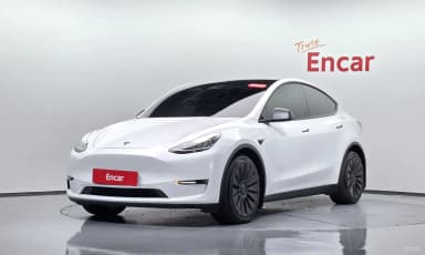 Model Y