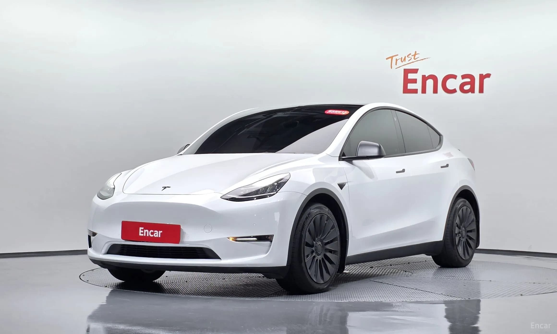 Model Y