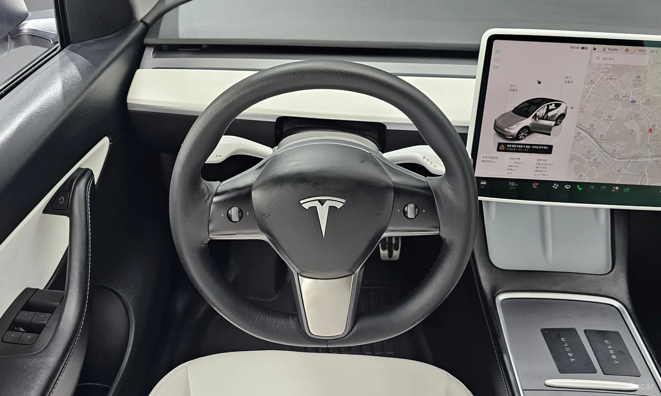 Model Y