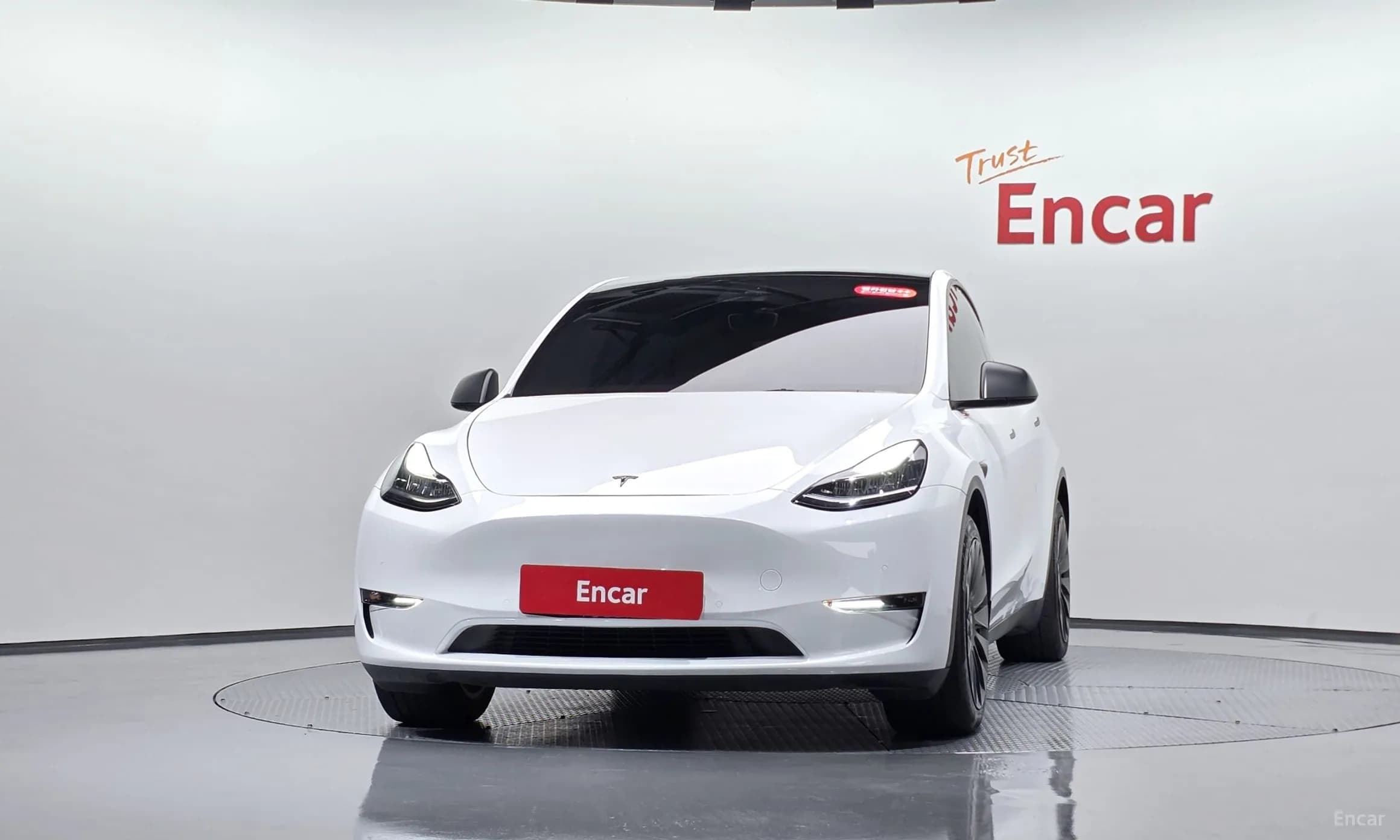 Model Y