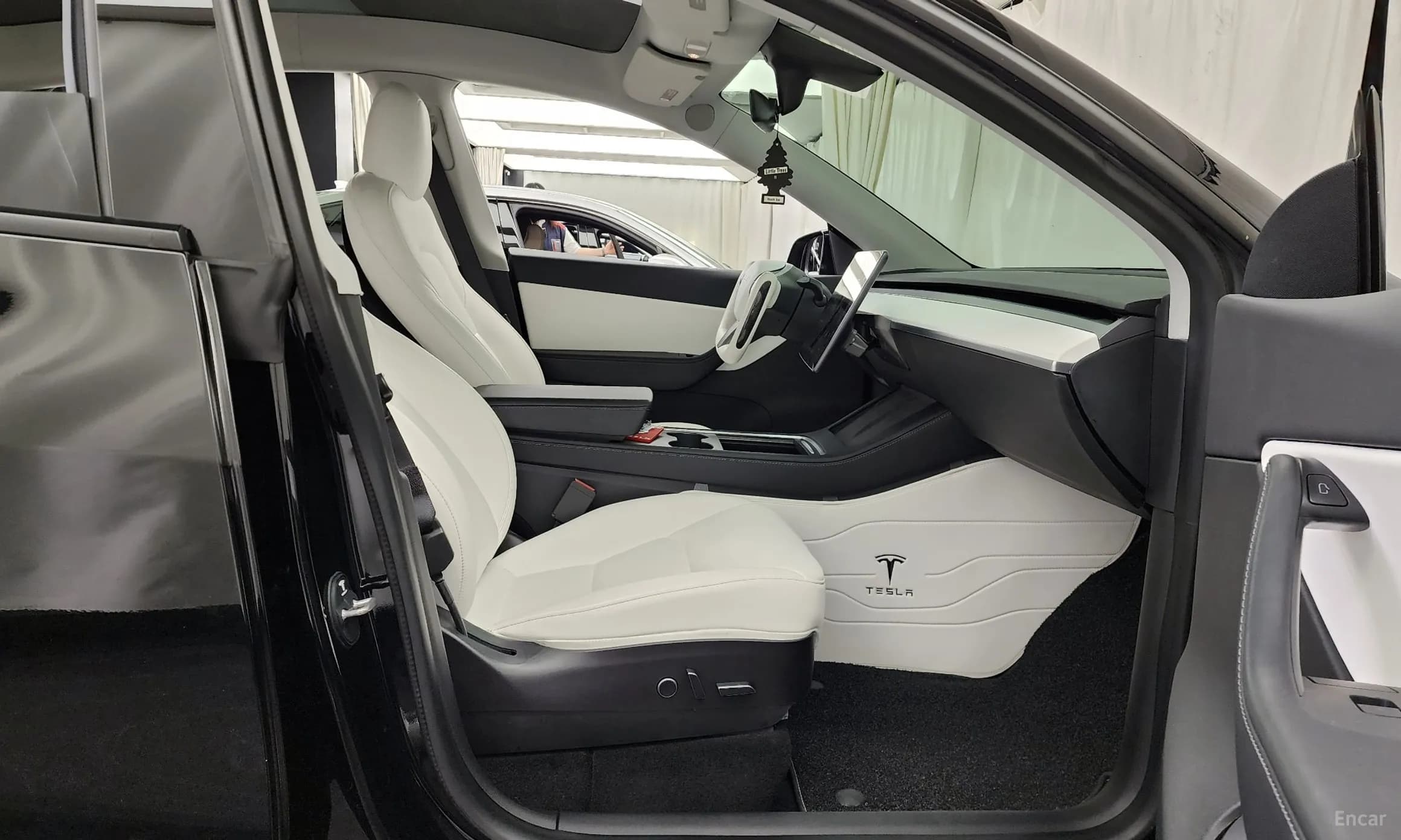 Model Y