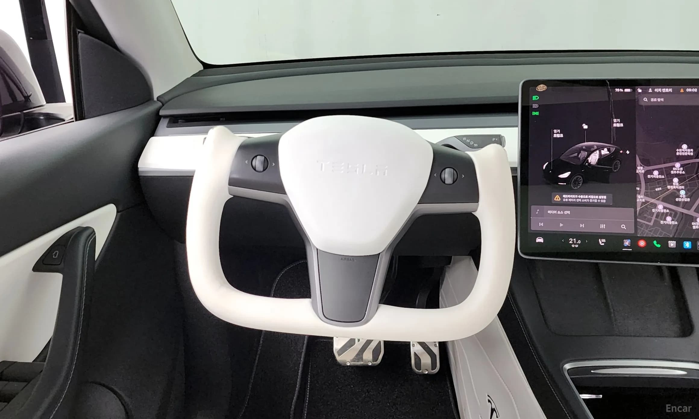 Model Y
