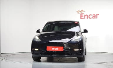 Model Y