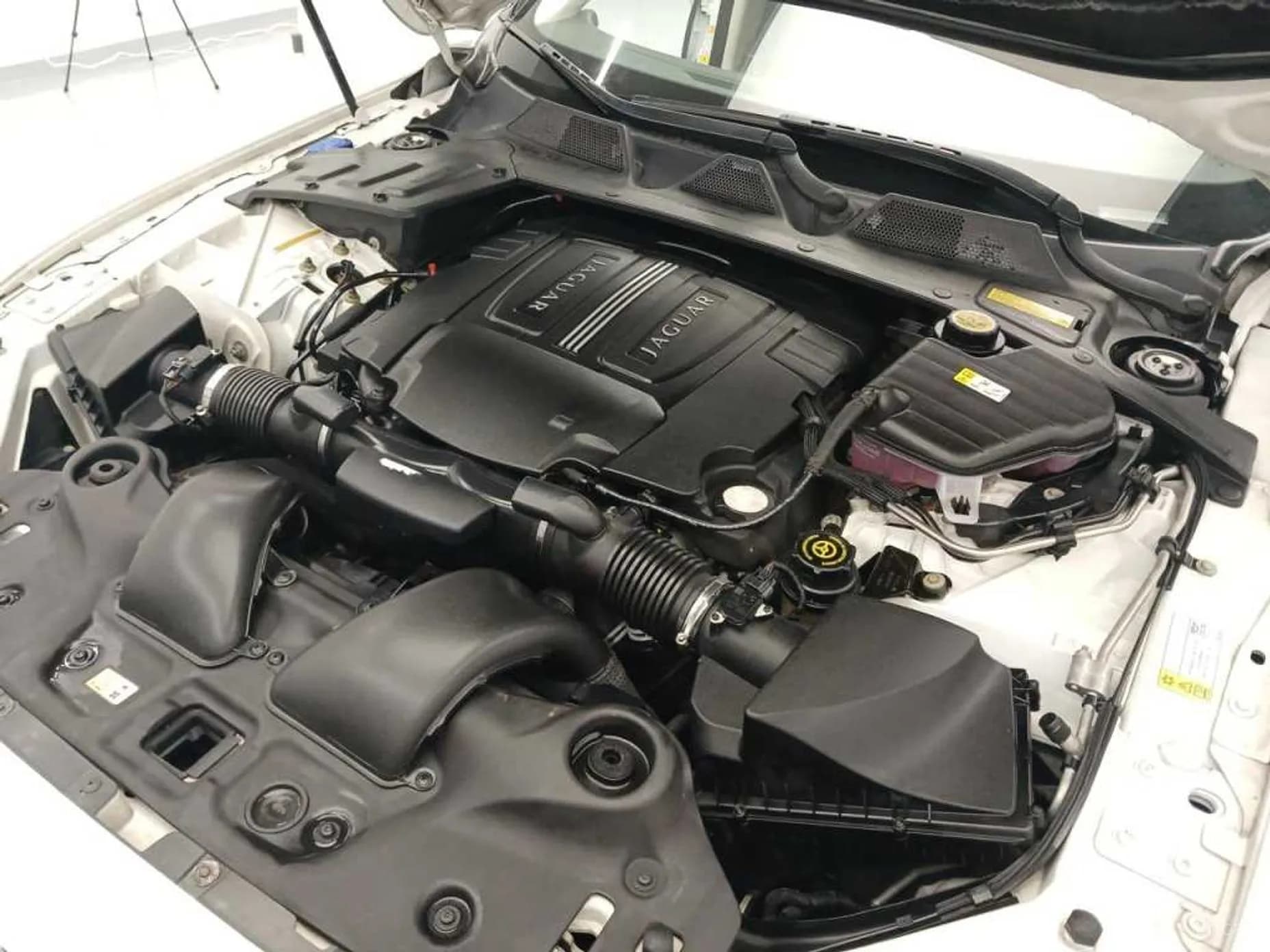 All New XJ