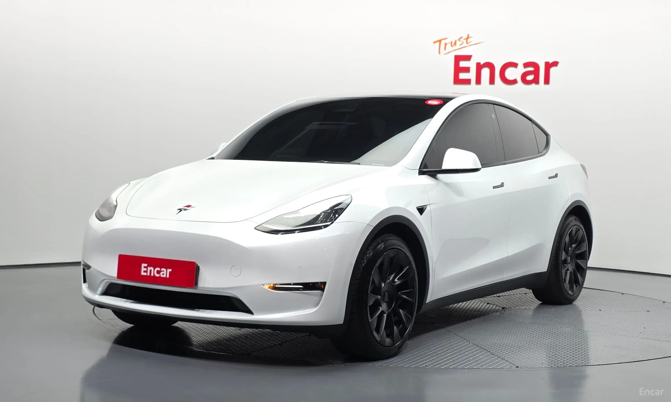 Model Y