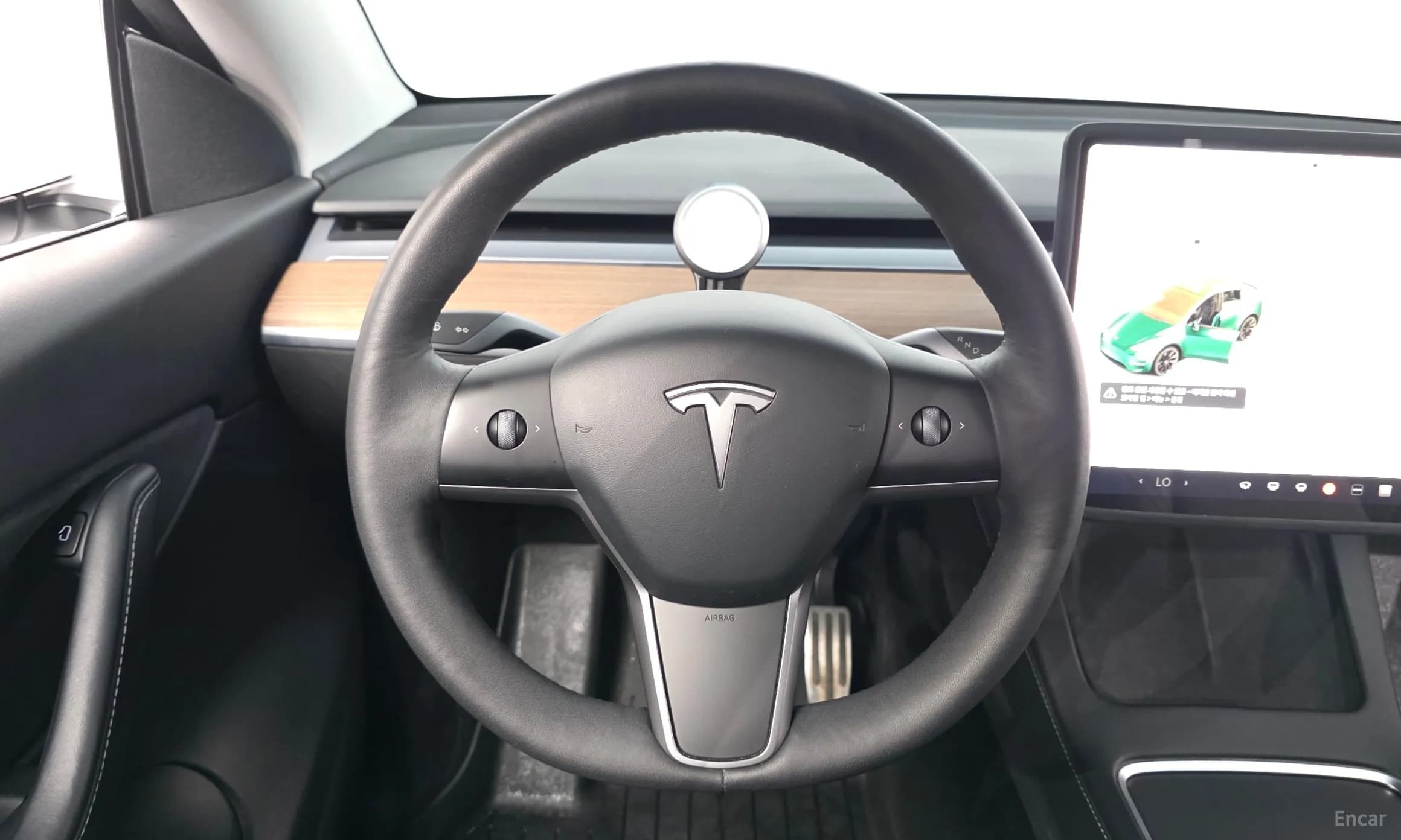 Model Y