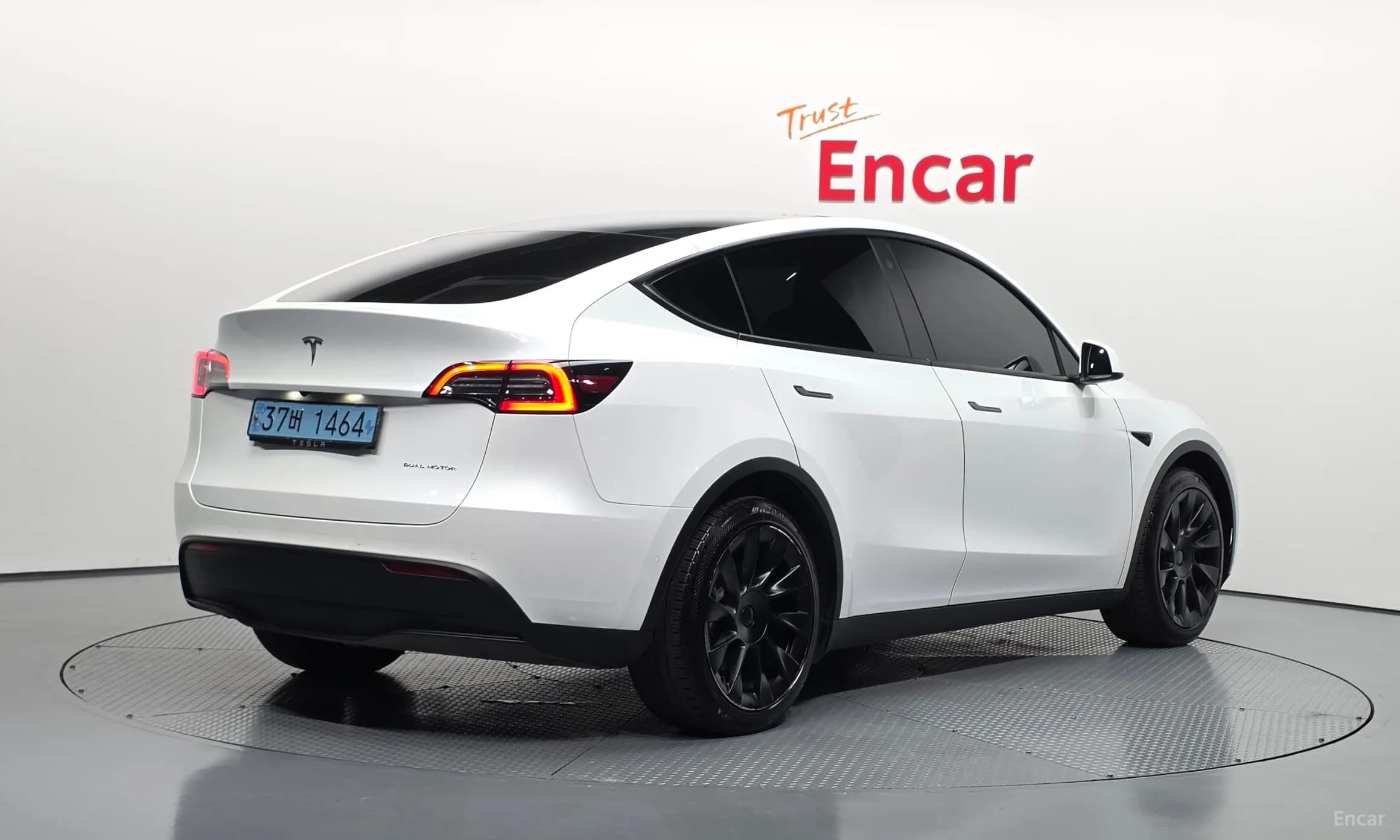 Model Y