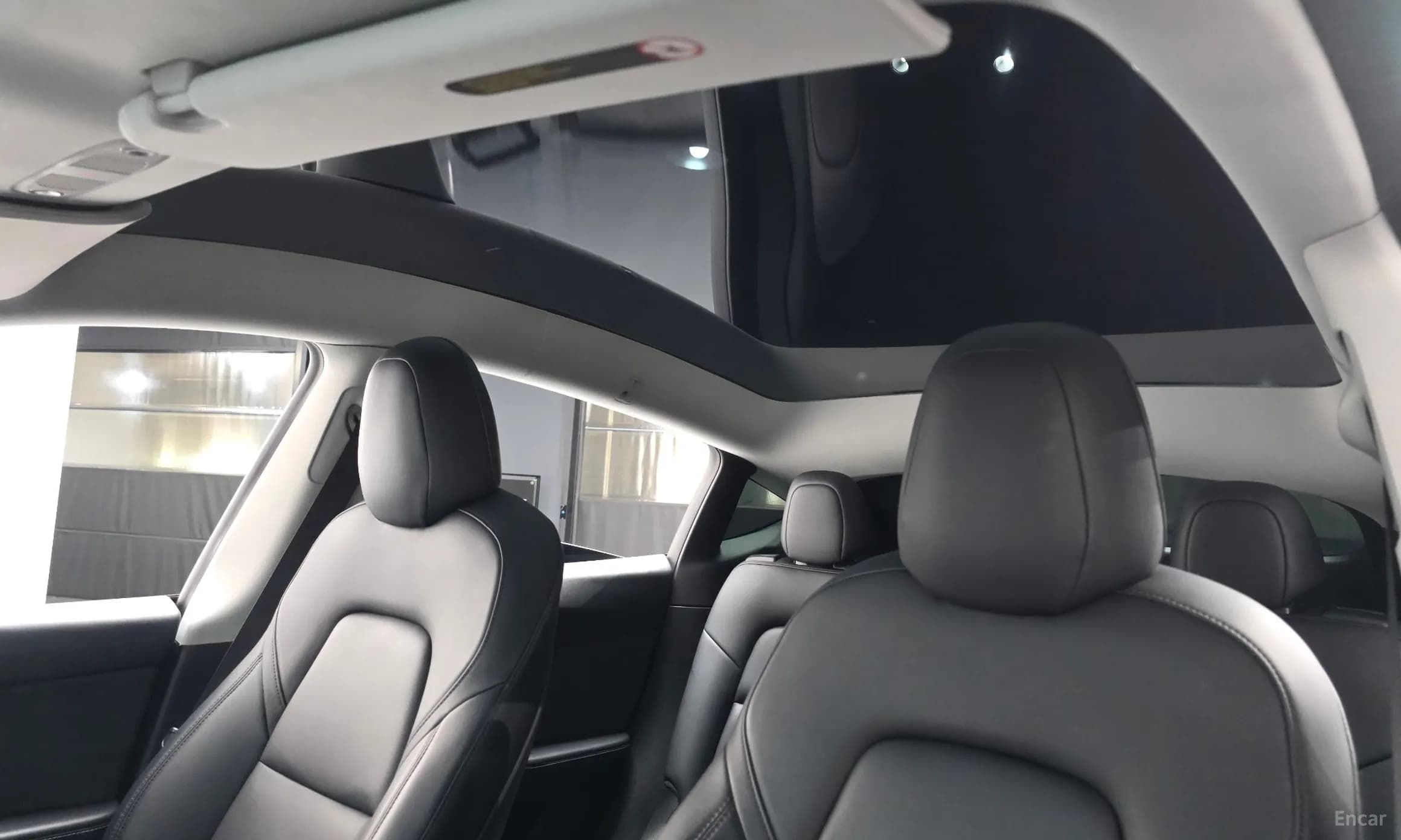 Model Y
