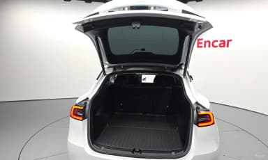 Model Y