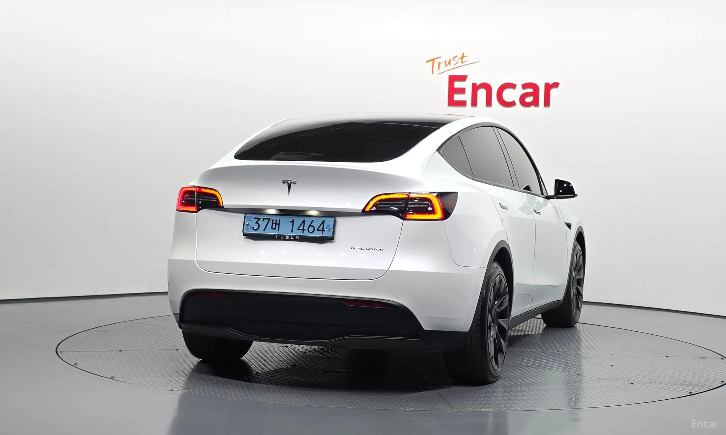 Model Y