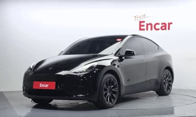 Model Y