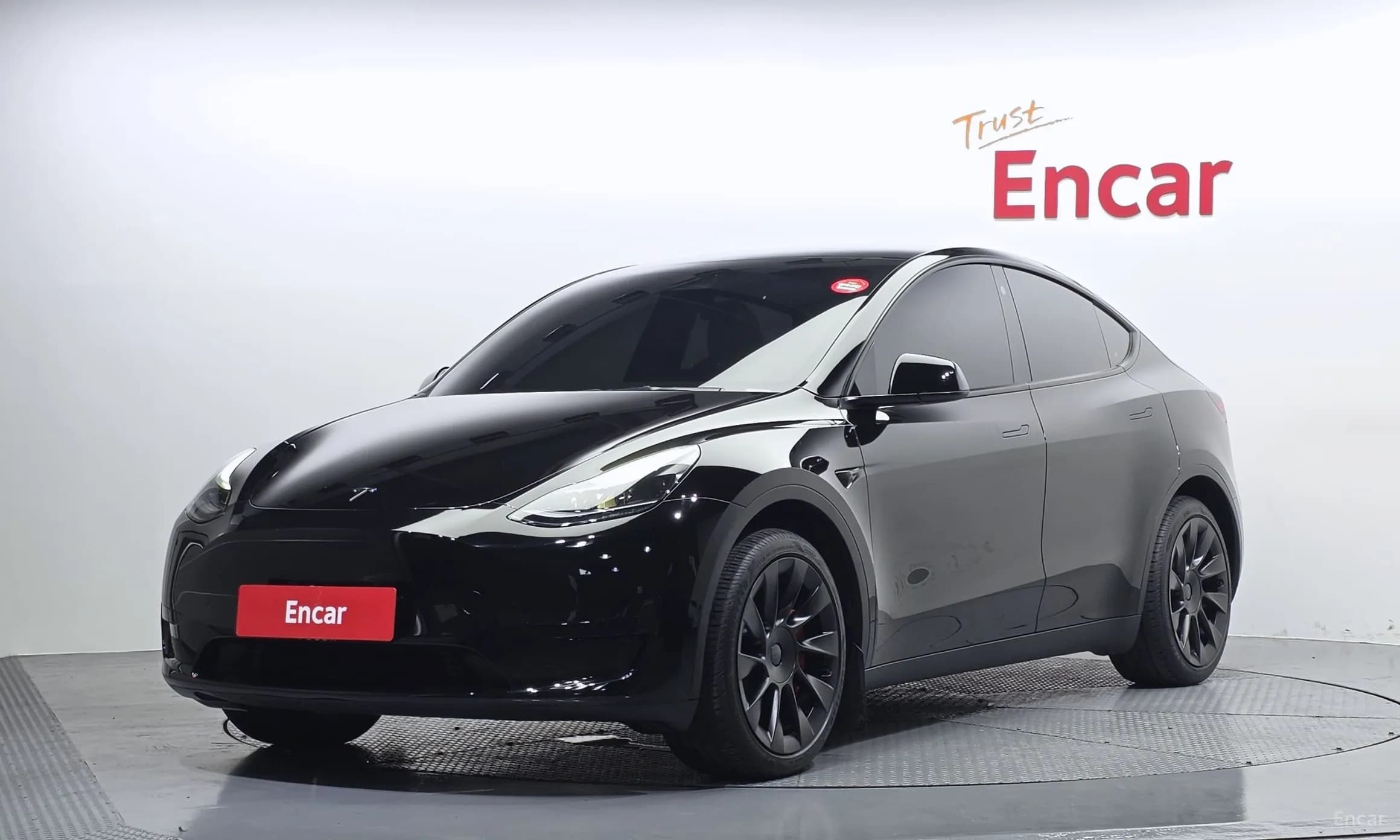 Model Y
