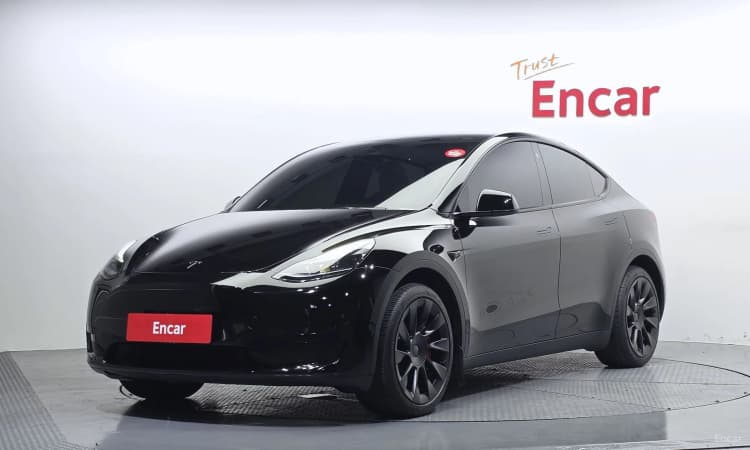 Model Y