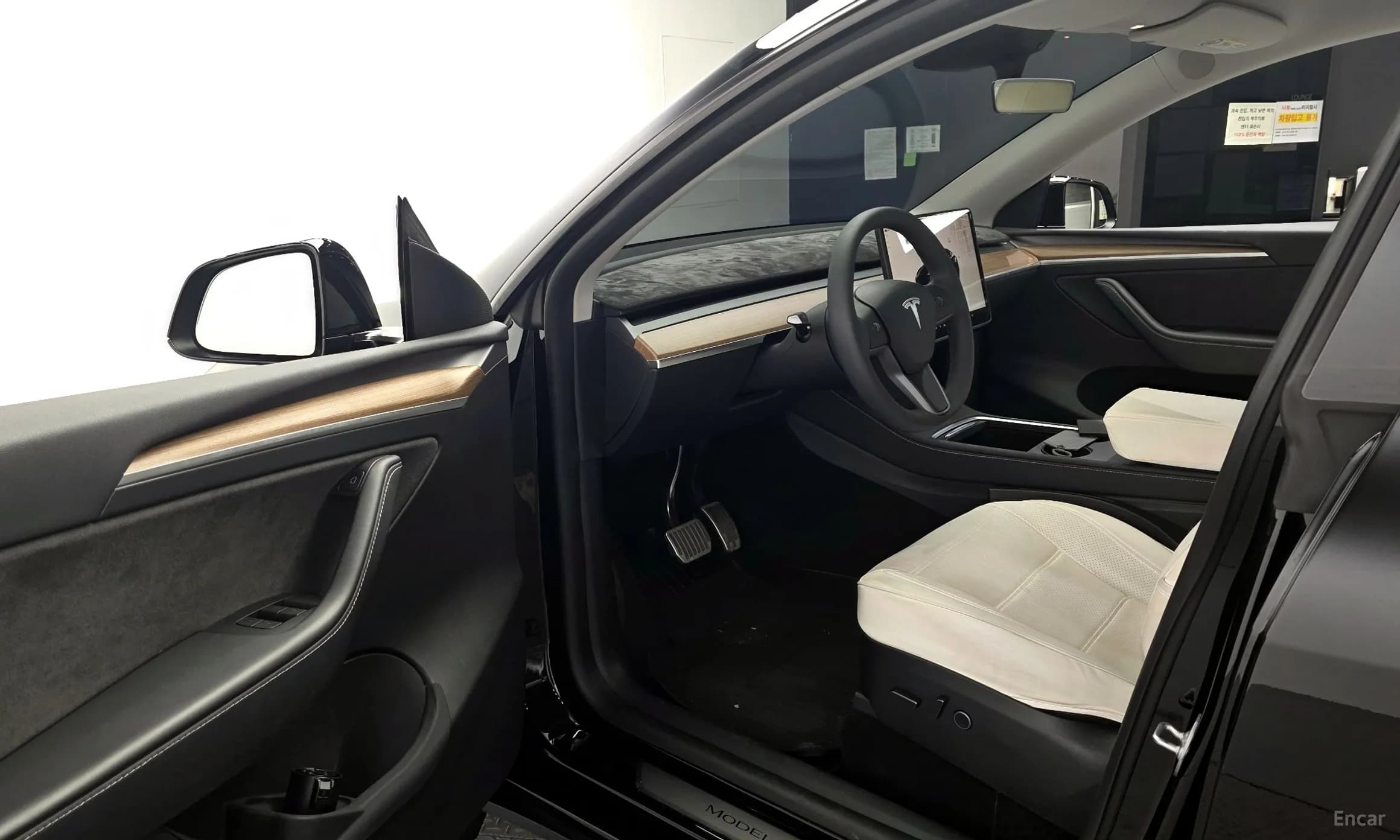 Model Y