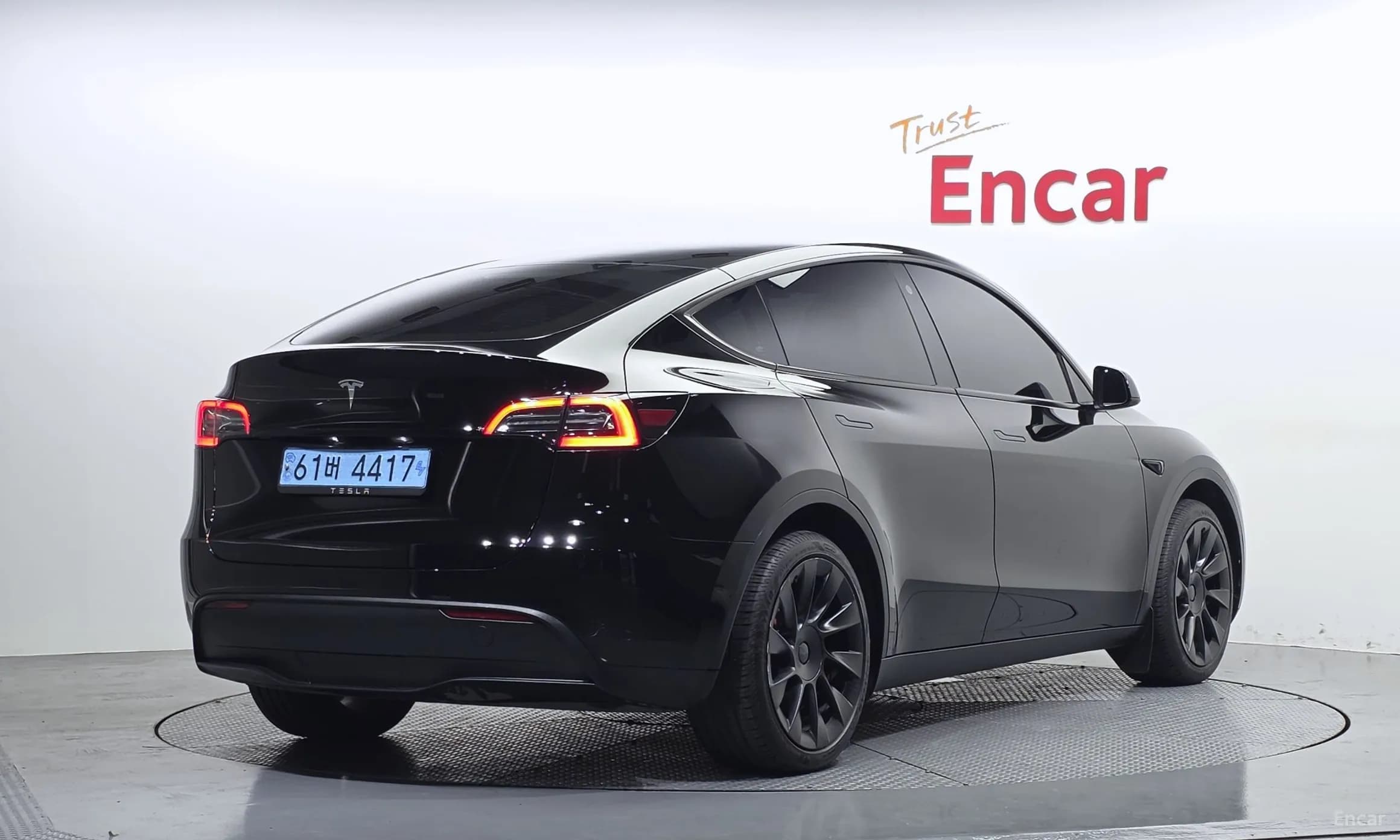 Model Y