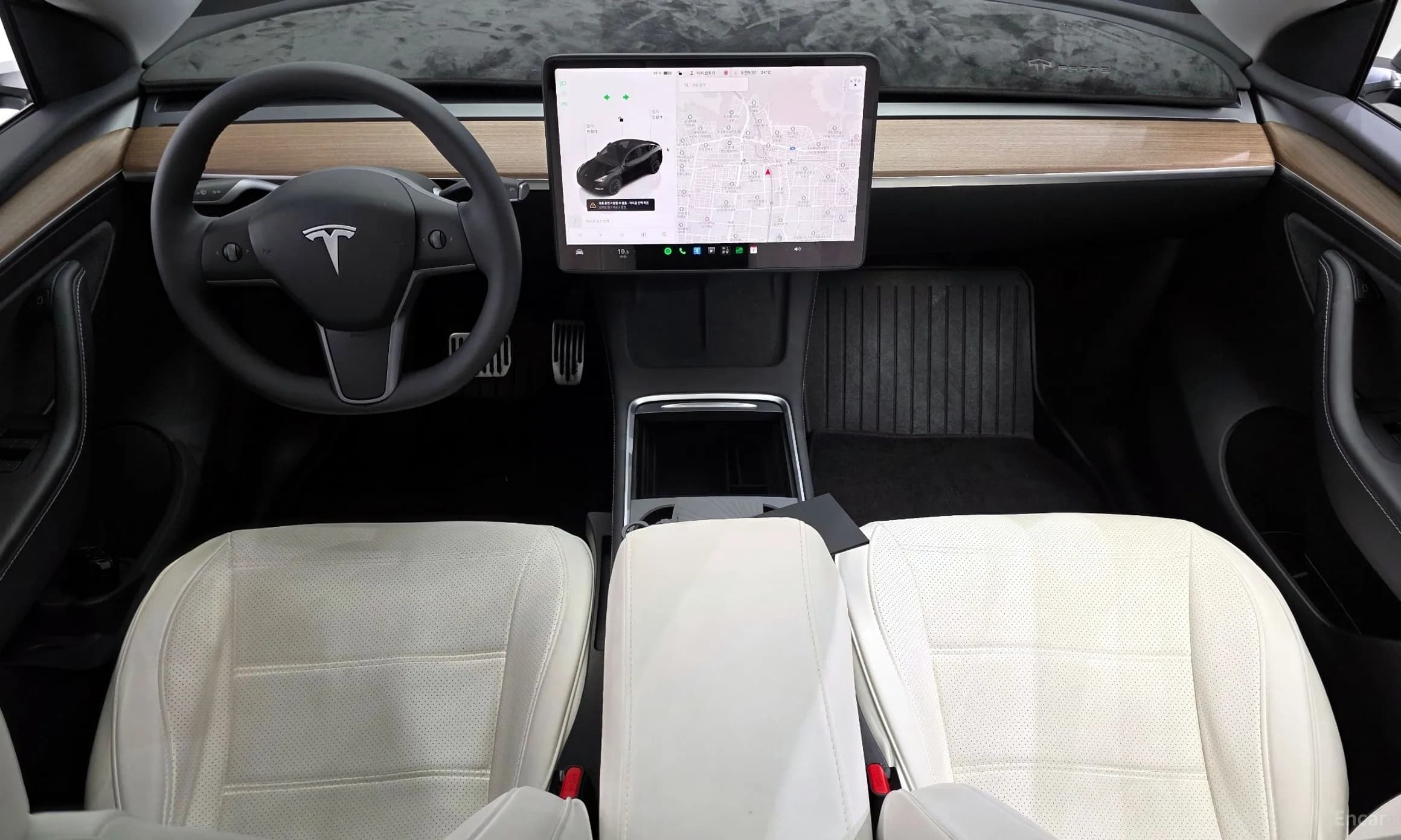 Model Y