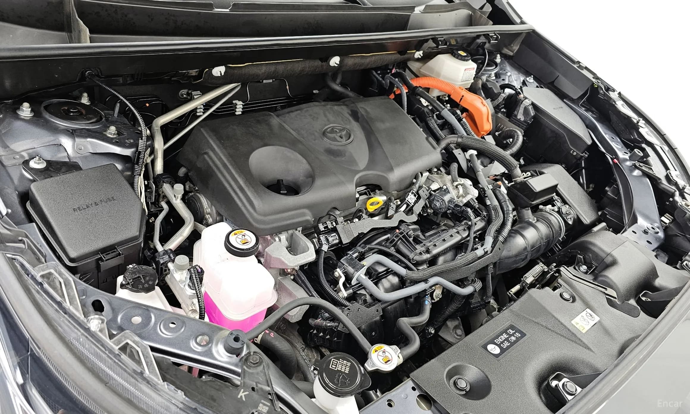 RAV4 5th Generation