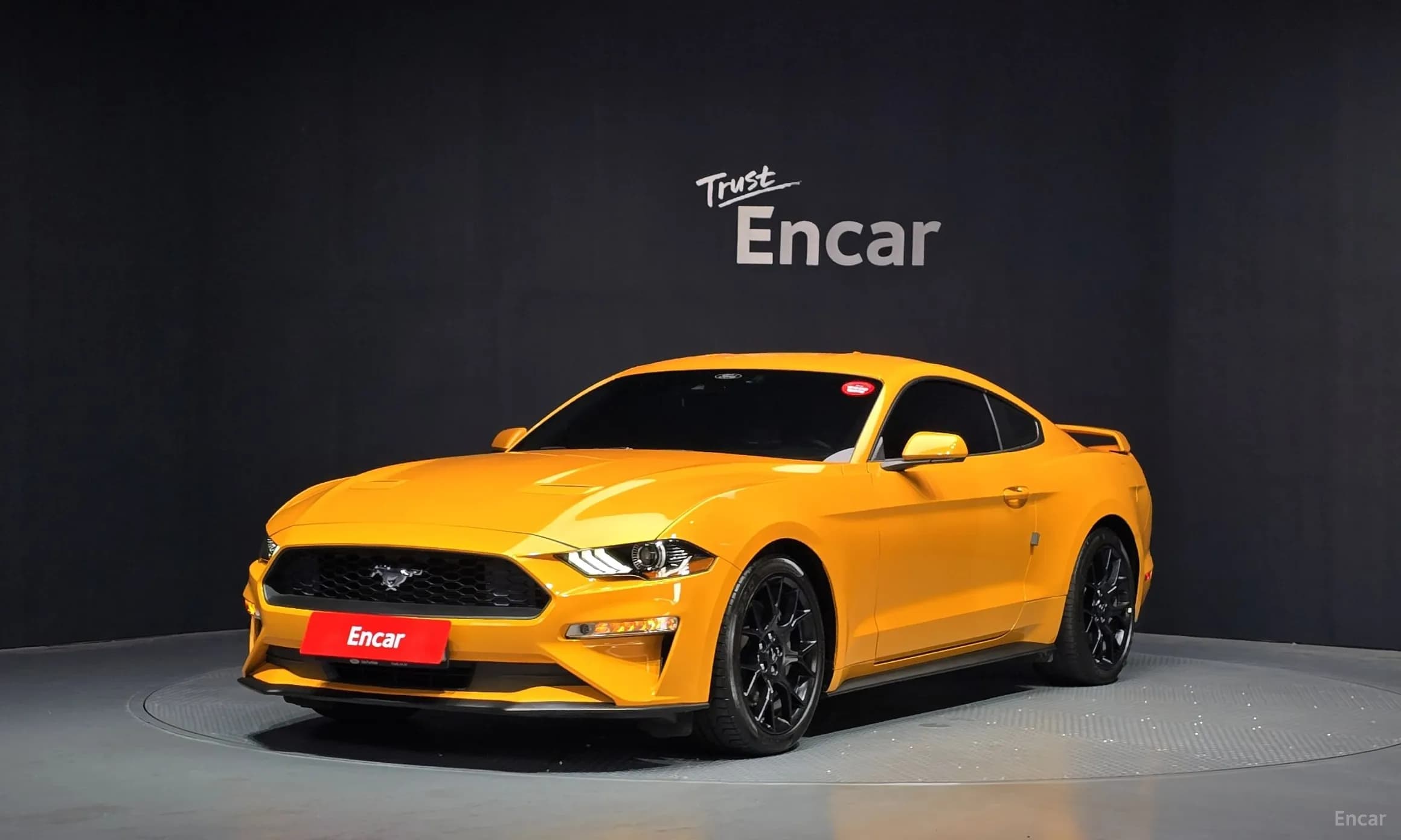 Mustang